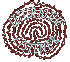 Letter to the Listener