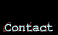 ContactAmesEla 